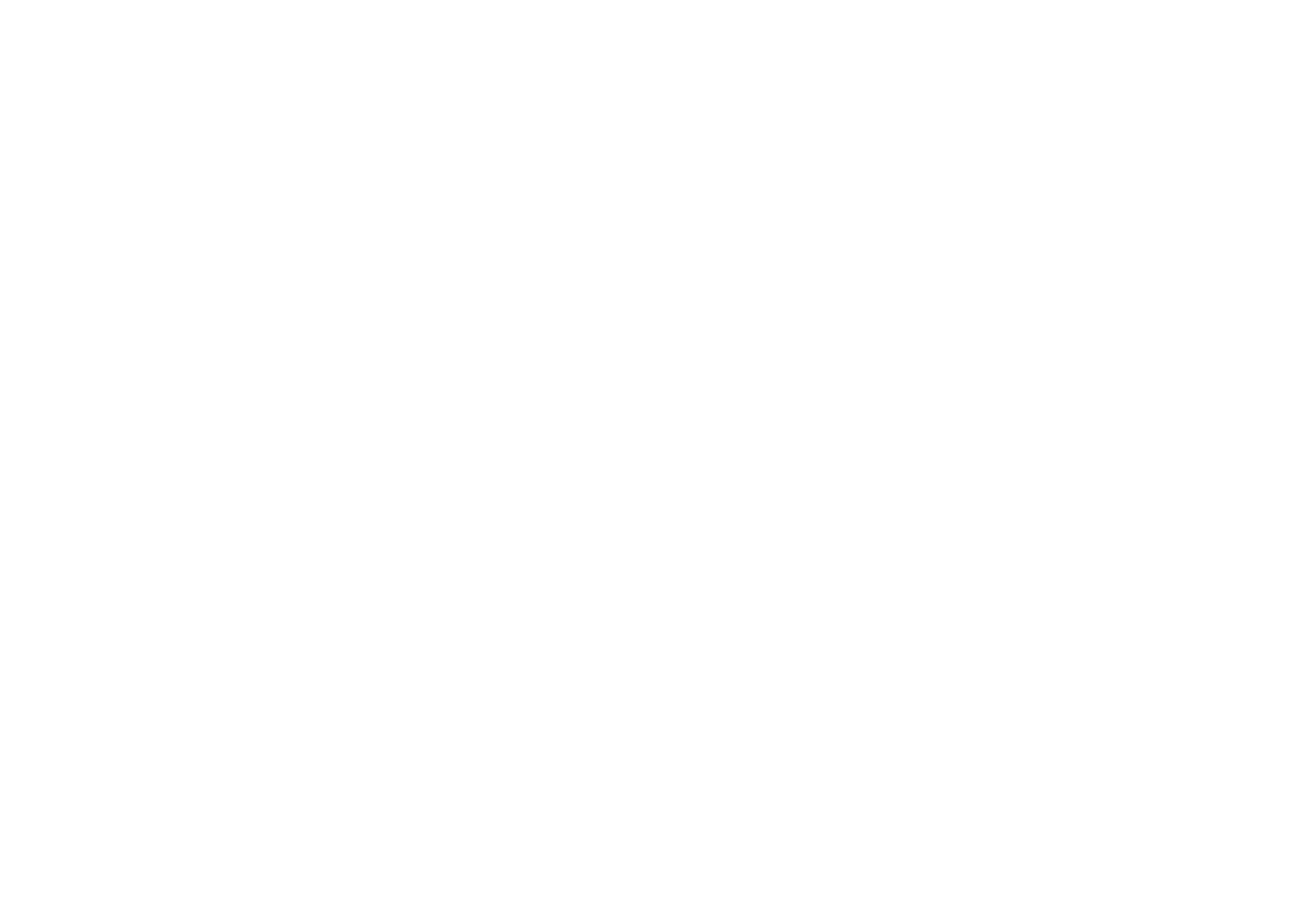Palm Junior Conseil
