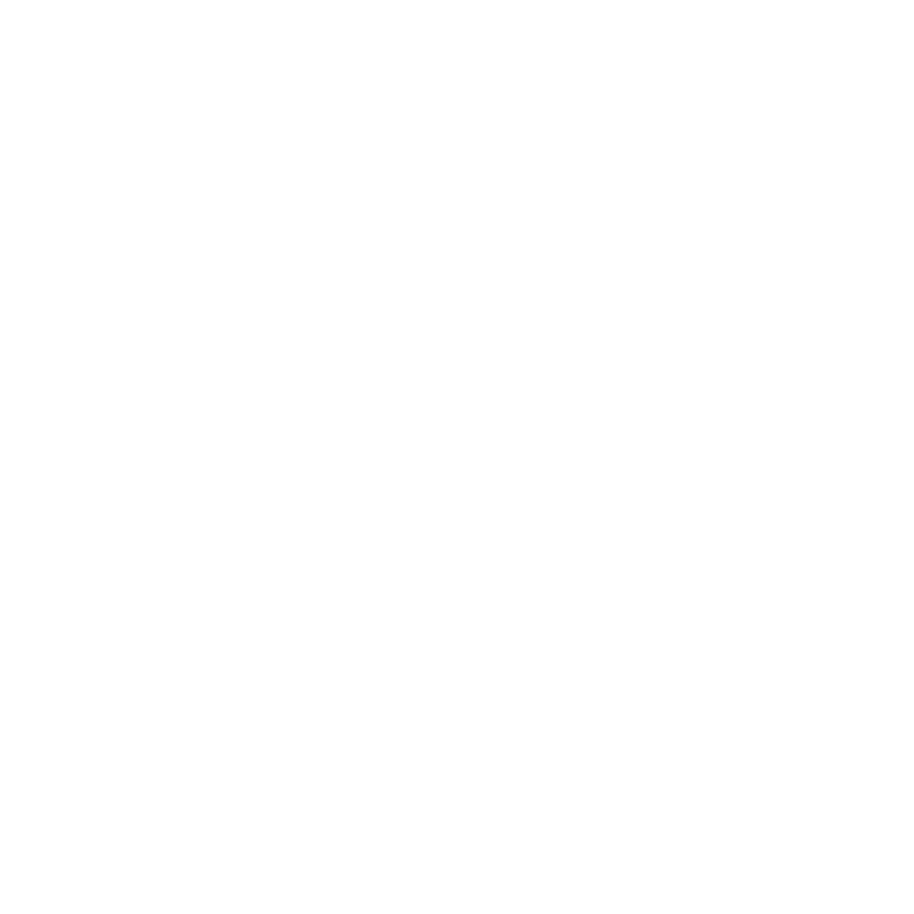 Palm Junior Conseil